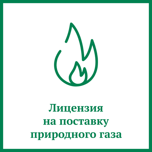 Лицензия на поставку природного газа Лицензия на поставку природного газа